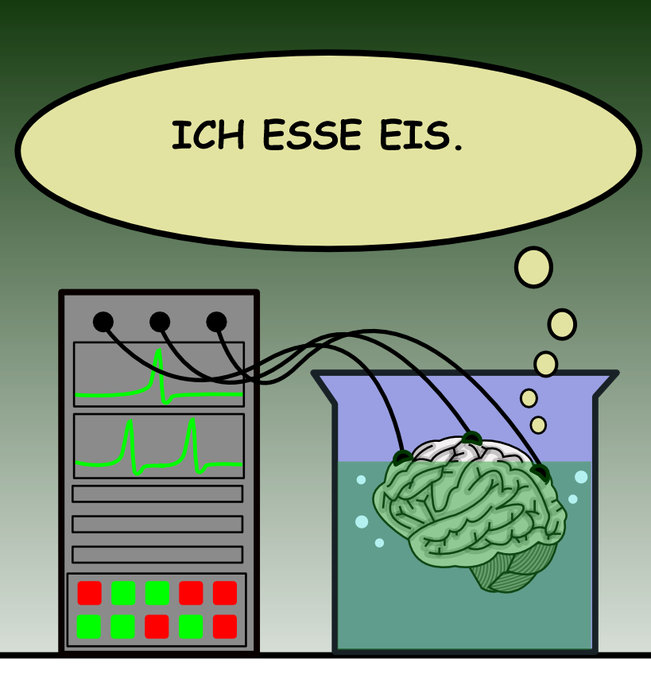 Gehirn im Bottich Gehirn im Bottich